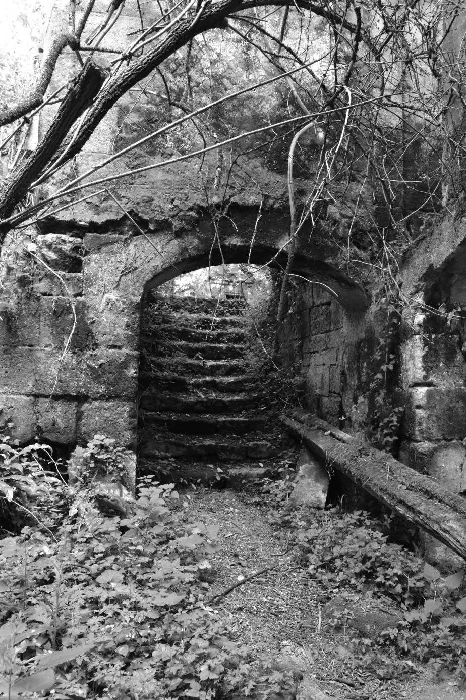 A Passage in&nbsp;Time