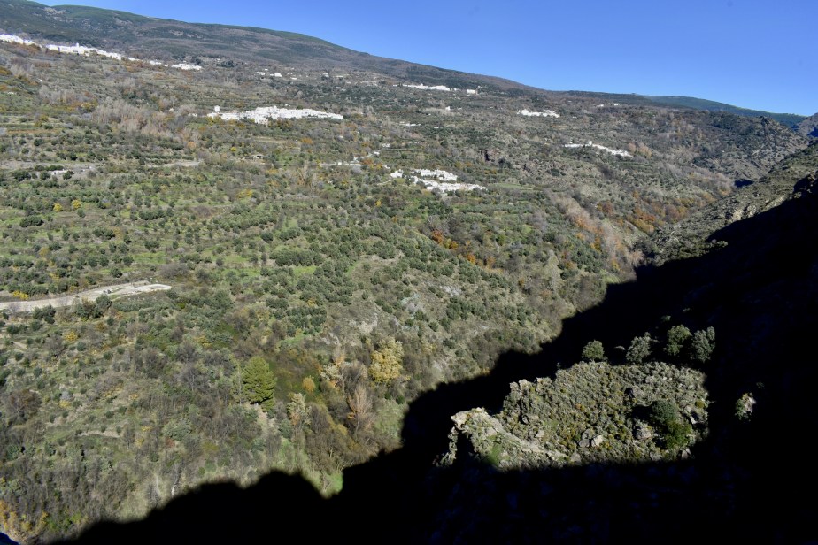 Walking the Mountain